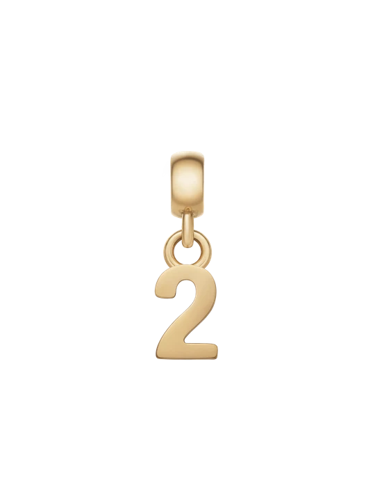 Zdjęcie produktu Daniel Wellington DW Charm Number 2 Gold