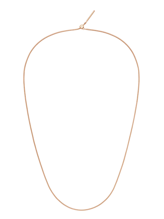 Zdjęcie produktu Daniel Wellington DW Charm Snake Necklace < 50 cm Rose Gold