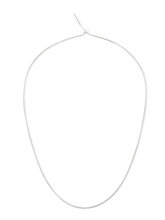 Zdjęcie produktu Daniel Wellington DW Charm snake < 50 cm Silver