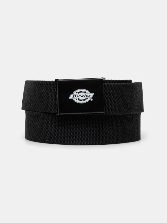 Zdjęcie produktu Dickies