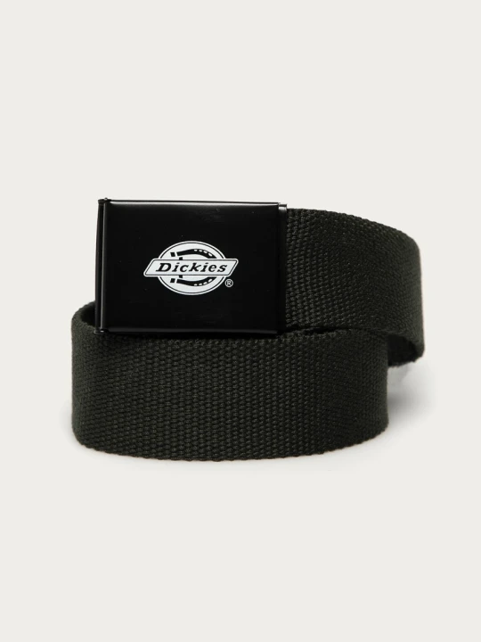 Zdjęcie produktu Dickies Pasek