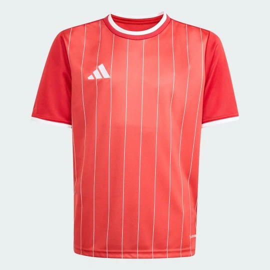 Zdjęcie produktu Dziecięca koszulka Entrada 26 Graphic Adidas