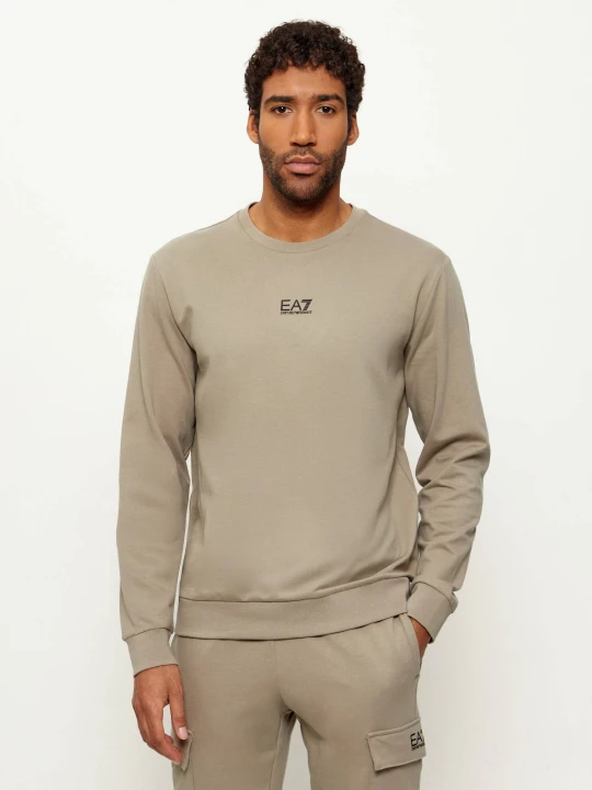 Zdjęcie produktu EA7 Bluza | Regular Fit beżowy
