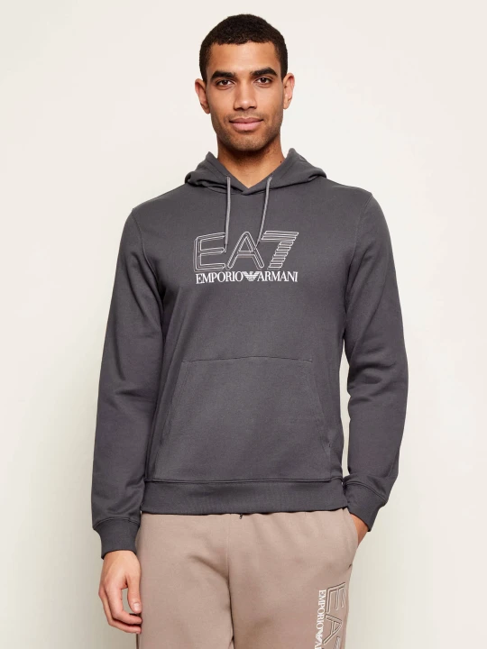 Zdjęcie produktu EA7 Bluza | Regular Fit szary