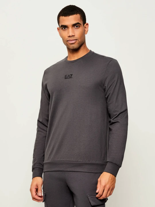 Zdjęcie produktu EA7 Bluza | Regular Fit szary