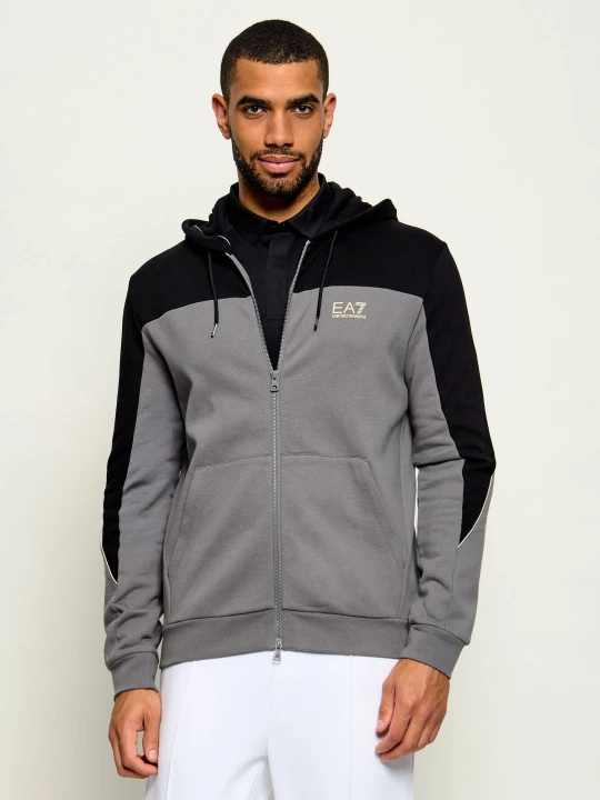 Zdjęcie produktu EA7 Bluza | Regular Fit szary