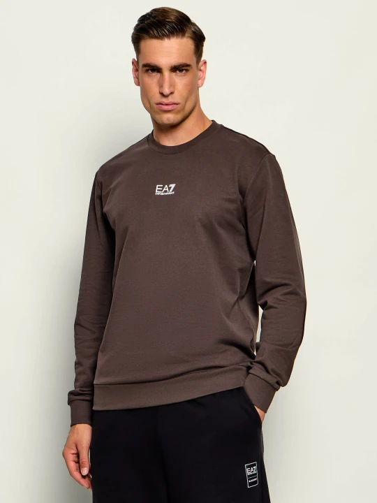 Zdjęcie produktu EA7 Bluza | Regular Fit brązowy