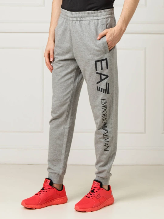 Zdjęcie produktu EA7 Spodnie dresowe | Regular Fit szary
