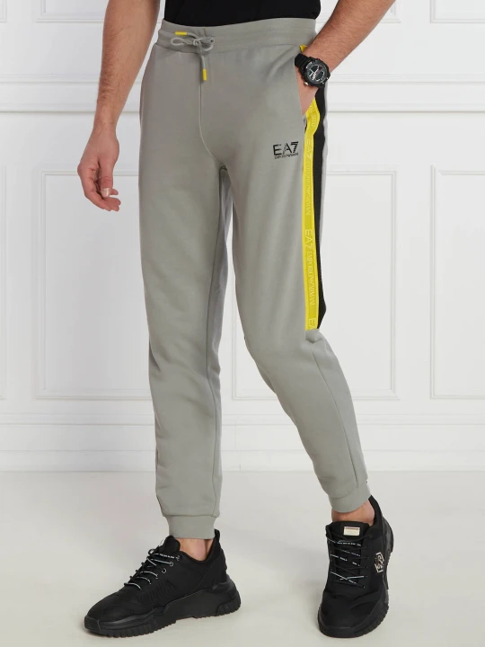 Zdjęcie produktu EA7 Spodnie dresowe | Regular Fit szary