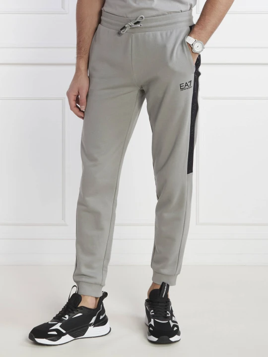 Zdjęcie produktu EA7 Spodnie dresowe | Regular Fit szary