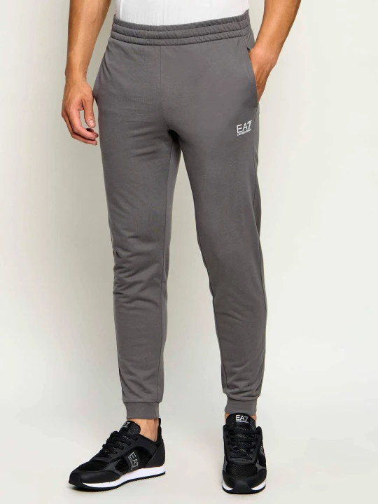 Zdjęcie produktu EA7 Spodnie dresowe | Slim Fit szary