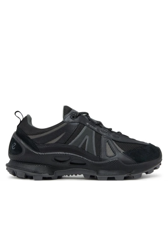 Zdjęcie produktu ECCO Trekkingi Biom C-Trail GORE-TEX 803463 51094 Czarny