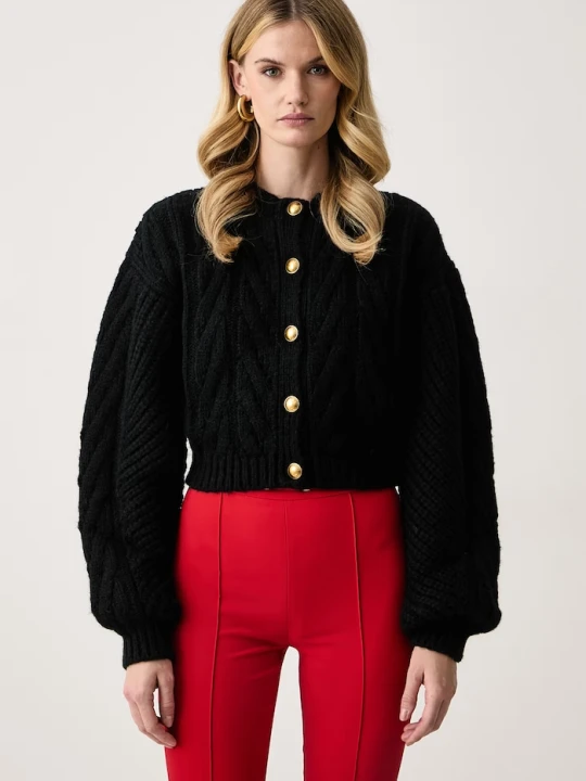 Zdjęcie produktu Elisabetta Franchi kardigan damski z wełną alpaki czarny