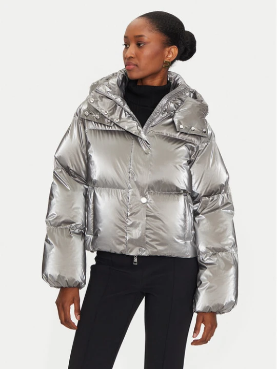 Zdjęcie produktu Elisabetta Franchi Kurtka zimowa PI-77D-46E2-V570 Srebrny Regular Fit