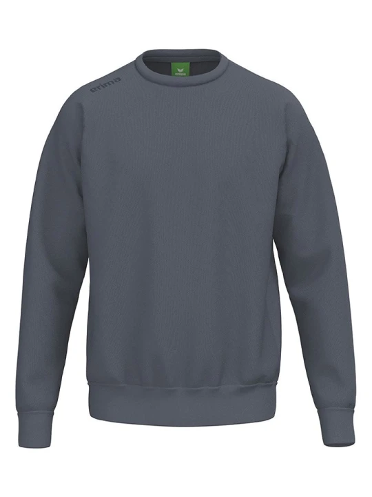 Zdjęcie produktu erima Bluza w kolorze szarym rozmiar: 128