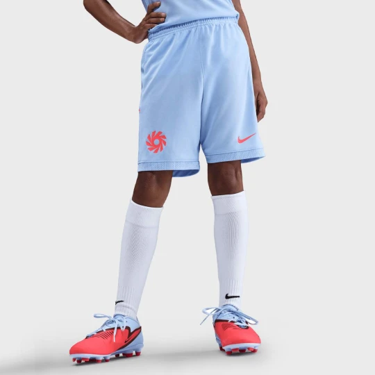 Zdjęcie produktu Erling Haaland Dri-Fit Academy Shorts Nike niebieski