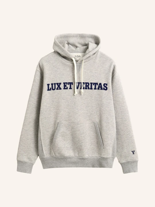 Zdjęcie produktu Gant Bluza Z Kapturem grau