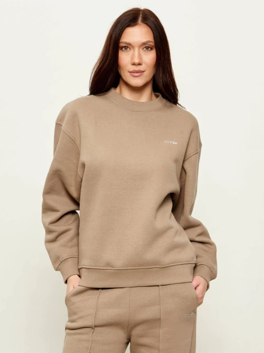 Zdjęcie produktu GUESS ACTIVE Bluza NAT | Regular Fit beżowy