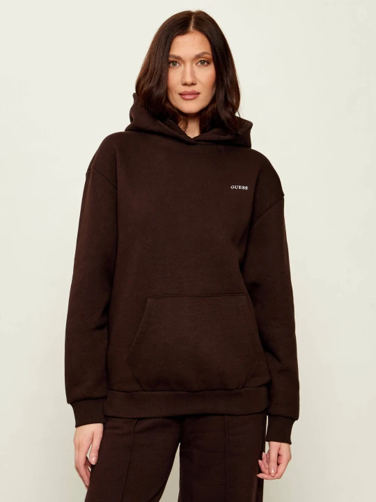 Zdjęcie produktu GUESS ACTIVE Bluza NAT | Regular Fit brązowy