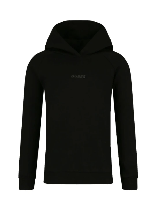 Zdjęcie produktu GUESS ACTIVE Bluza | Regular Fit