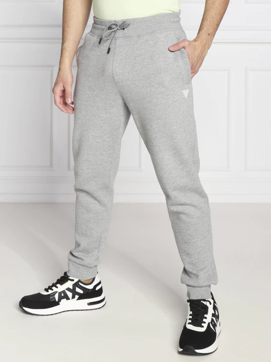 Zdjęcie produktu GUESS ACTIVE Spodnie dresowe ALDWIN | Regular Fit szary