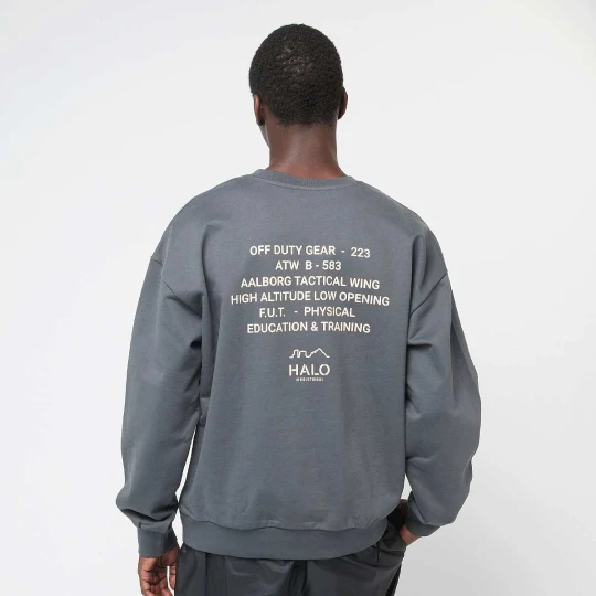 Zdjęcie produktu Graphic Boxy Crew Halo szary