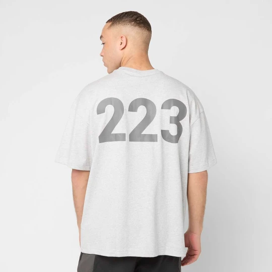 Zdjęcie produktu Graphic Boxy T-Shirt Halo szary