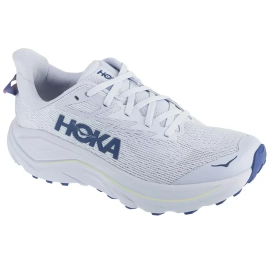 Zdjęcie produktu Hoka W Challenger 8 1168717-ALBR, Damskie, Szare, buty do biegania, tkanina, rozmiar: 38 2 / 3