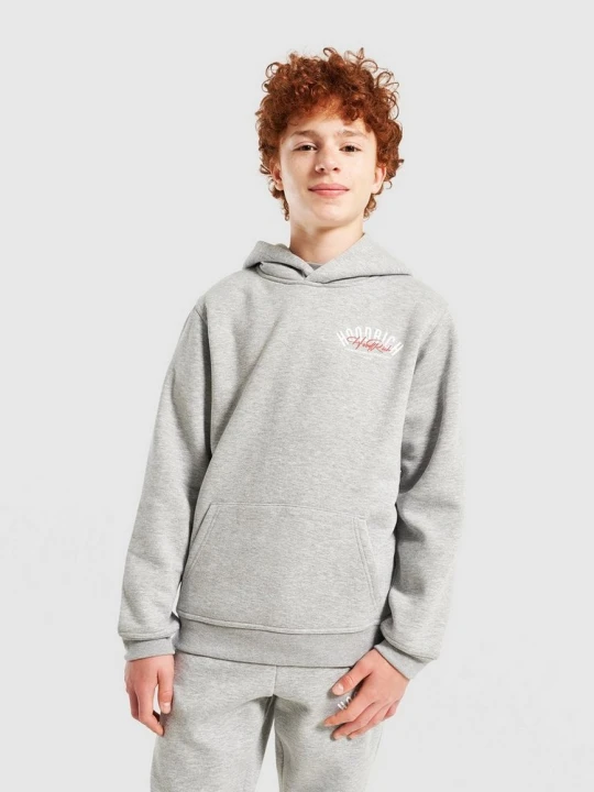 Zdjęcie produktu Hoodrich Bluza Z Kapturem Bind szary