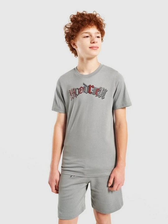 Zdjęcie produktu Hoodrich T-Shirt Regular Crown szary