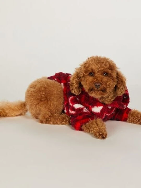 Zdjęcie produktu Hunkemöller Pies Onesie Czerwony