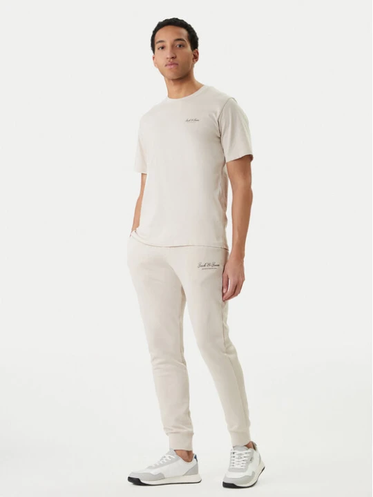 Zdjęcie produktu Jack & Jones T-Shirt Earchive 12297641 Beżowy Regular Fit