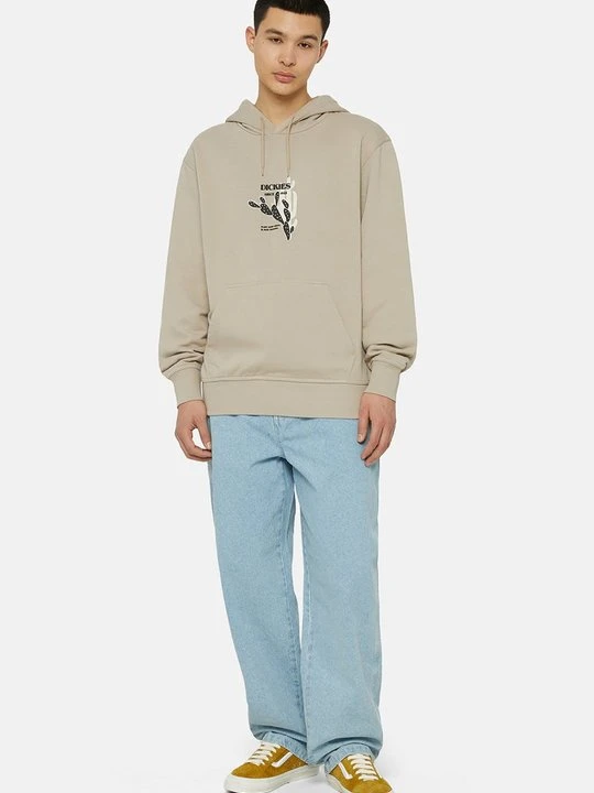 Zdjęcie produktu Jeansy baggy Dickies jasnoniebieski denim