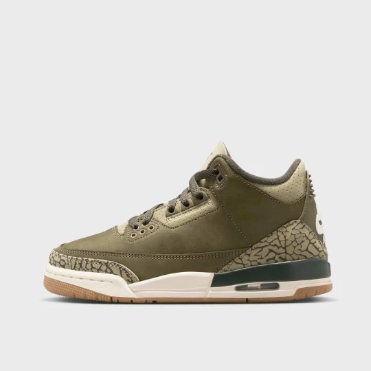 Zdjęcie produktu Air Jordan 3 Retro "Family Affair" (GS) zielony