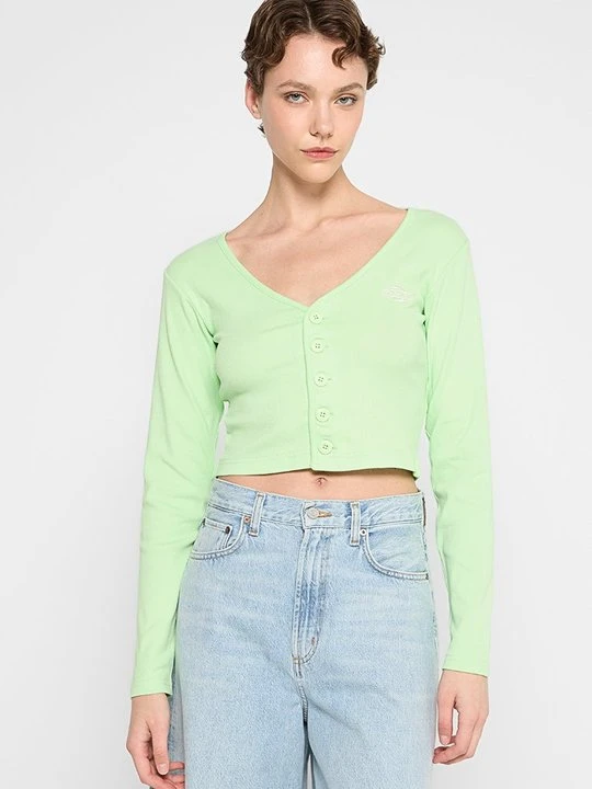 Zdjęcie produktu Kardigan Dickies jasnozielony