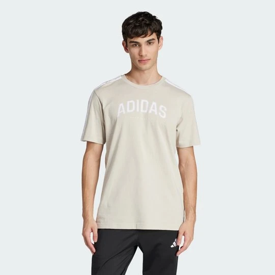 Zdjęcie produktu Koszulka Codes Collegiate Linear Graphic Adidas beżowy