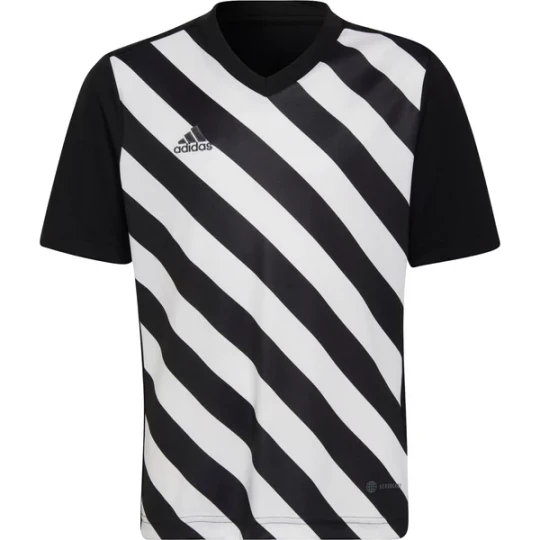 Zdjęcie produktu Koszulka juniorska Entrada 22 Graphic Jersey Adidas Czarny