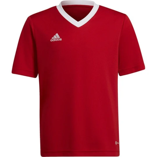 Zdjęcie produktu Koszulka juniorska Entrada 22 Jersey Adidas Czerwony