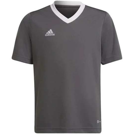 Zdjęcie produktu Koszulka juniorska Entrada 22 Jersey Adidas Szary