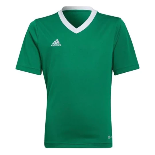 Zdjęcie produktu Koszulka juniorska Entrada 22 Jersey Adidas Zielony