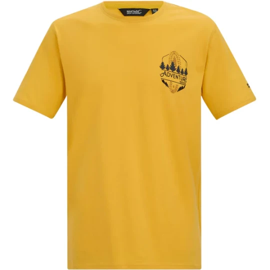 Zdjęcie produktu Koszulka męska Cline IX Regatta Żółty