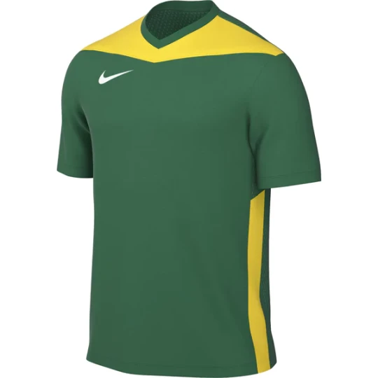 Zdjęcie produktu Koszulka męska DF Park Derby IV Jsy Nike Zielony