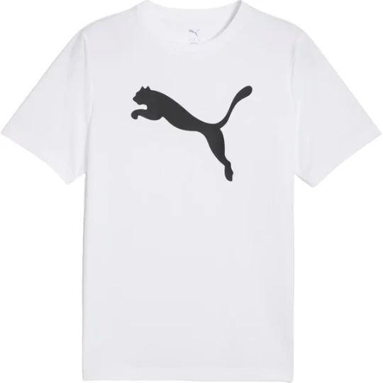 Zdjęcie produktu Koszulka męska Essentials Poly Tee Puma Biały