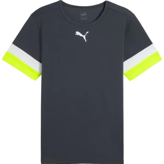 Zdjęcie produktu Koszulka męska Individual Rise Jersey Puma Szary