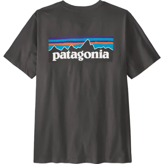 Zdjęcie produktu Koszulka męska P-6 Logo Patagonia