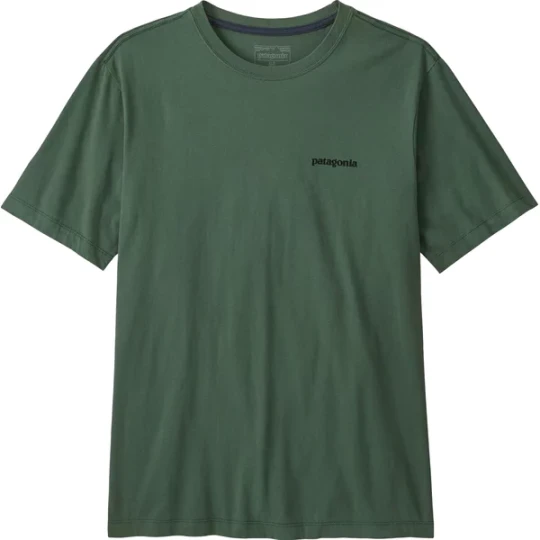 Zdjęcie produktu Koszulka męska P-6 Logo Patagonia Zielony