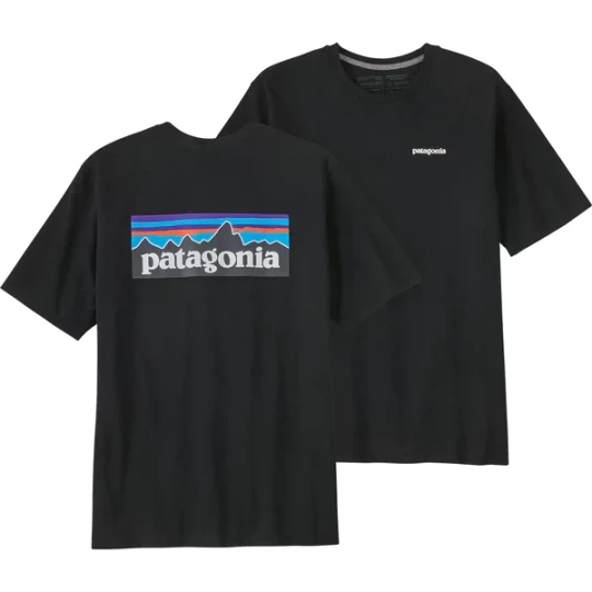 Zdjęcie produktu Koszulka męska P-6 Logo Responsibili Tee Patagonia Czarny
