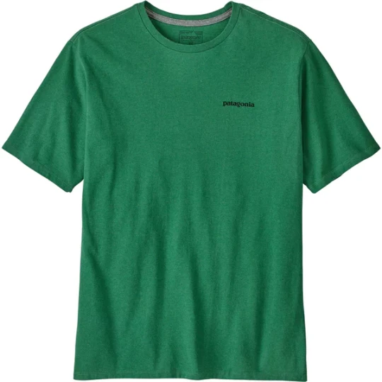 Zdjęcie produktu Koszulka męska P-6 Logo Responsibili Tee Patagonia Zielony