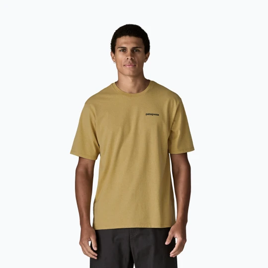 Zdjęcie produktu Koszulka męska Patagonia Flying Fish Responsibili Tee limestone yellow / heritage fitz