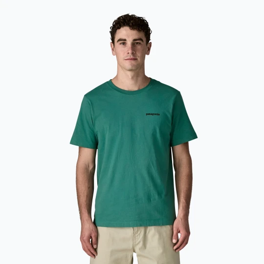 Zdjęcie produktu Koszulka męska Patagonia P-6 Logo gem green